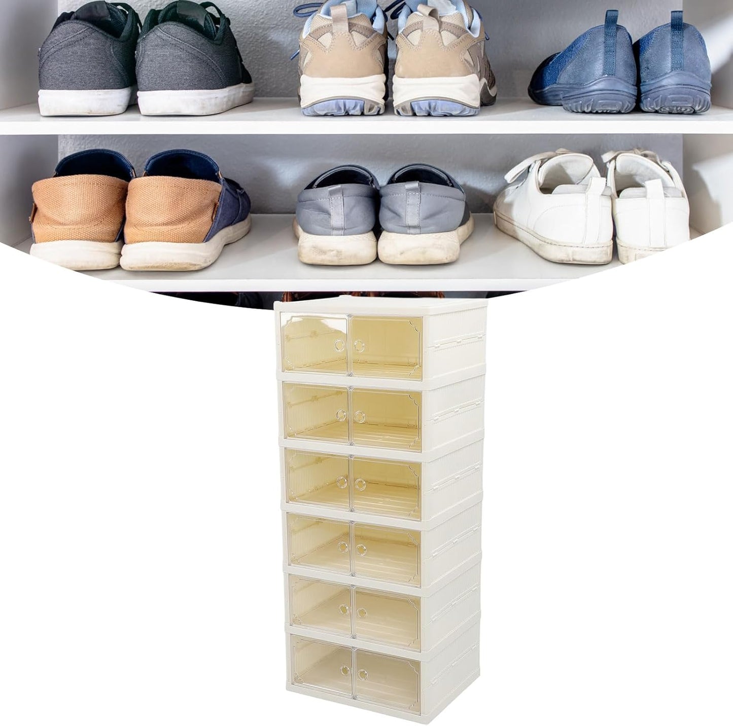 Foldable Shoe Box